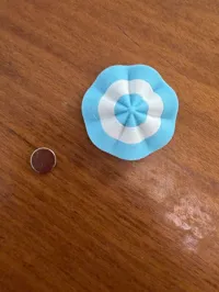 Escarapela con espacio para imán