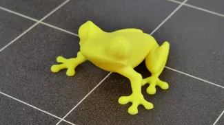 Tree Frog