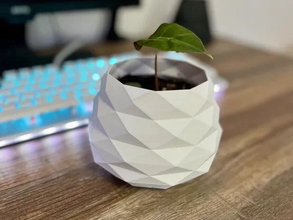 Petit pot low poly
