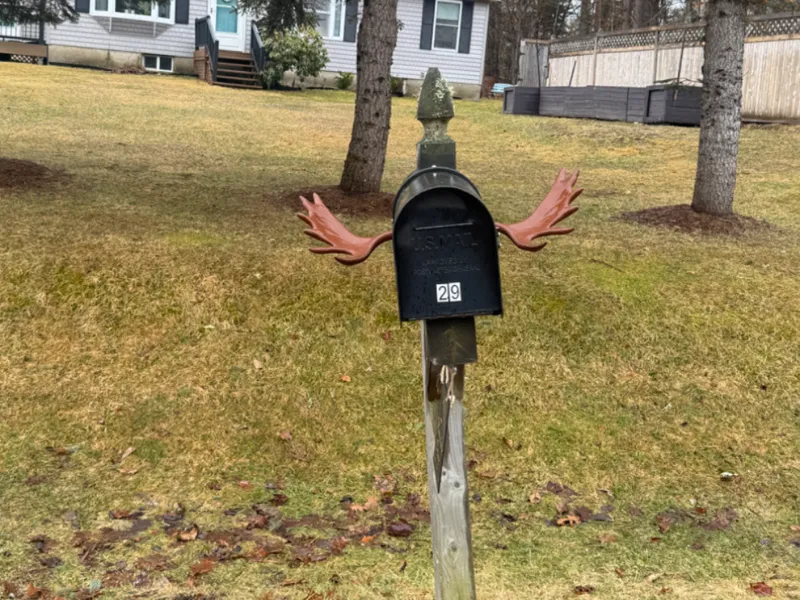 moose antler mailbox attachment