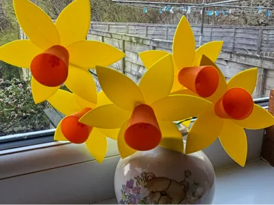 The Simple Daffodil