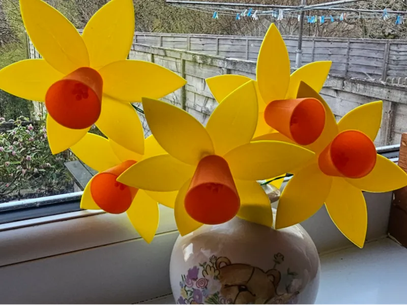 The Simple Daffodil