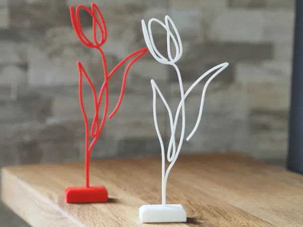 https://makerworld.bblmw.com/makerworld/model/US69628b3ff62685/design/2025-05-03_99c1abead91ee.jpg