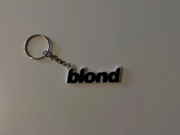 https://makerworld.bblmw.com/makerworld/model/US6963570f0722e3/design/2024-10-28_916626263b4bd.jpg