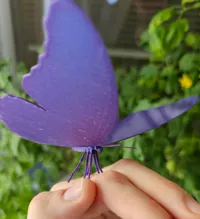 Single Color - 0.16mm layer, 2 walls, 15% infill