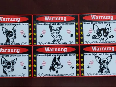 Chihuahua Security