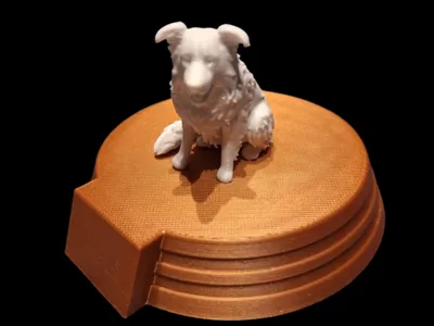 Border Collie