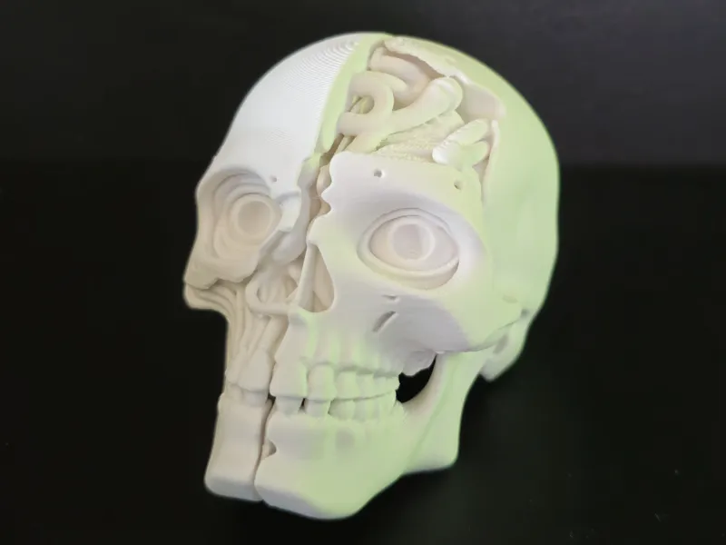 Skull Head #1 - open mind