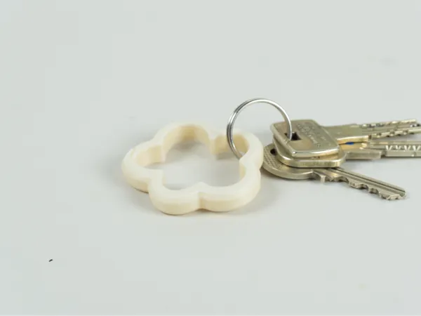 https://makerworld.bblmw.com/makerworld/model/US6978aef9224c4e/design/a3ee1902f97bf929.jpg