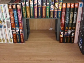 Support manga for IKEA Billy shelf