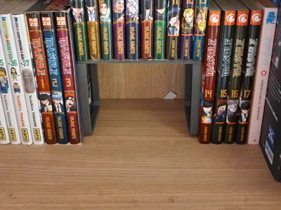Support manga for IKEA Billy shelf