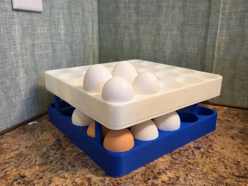 Modular egg Cartons/Storage 