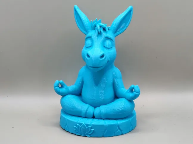 ZEN DONKEY - Master of patience