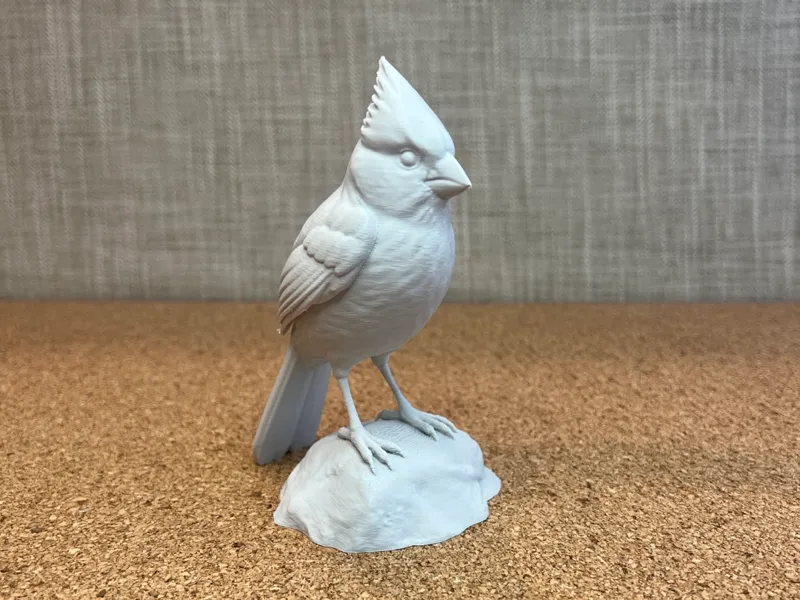 Cardinal 