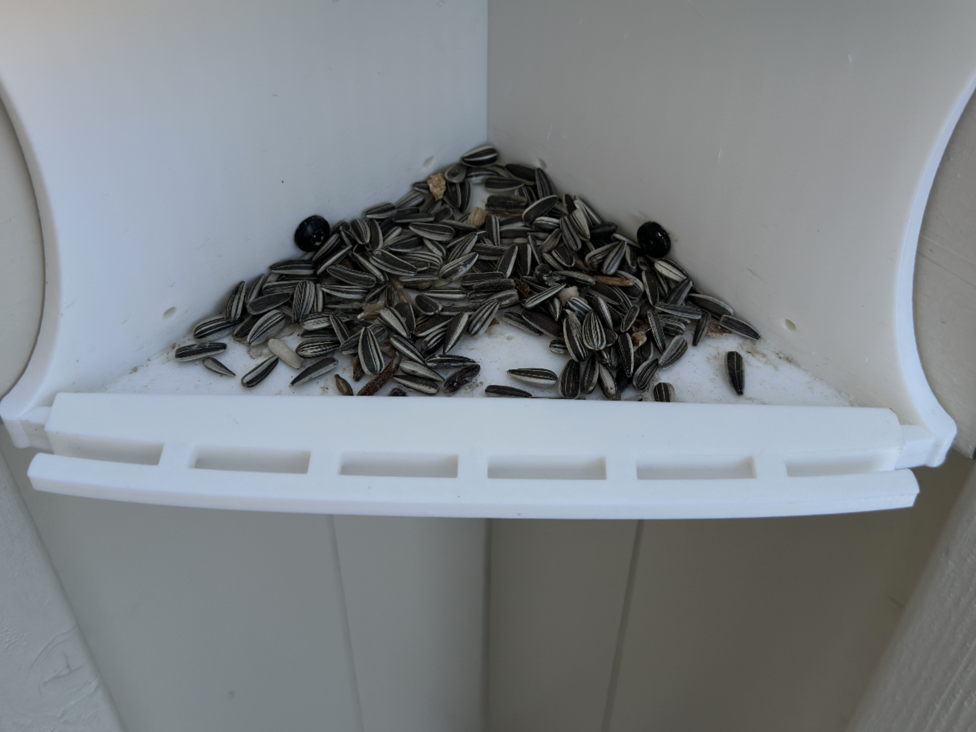 Attachable Ledge for Corner-mount bird feeder