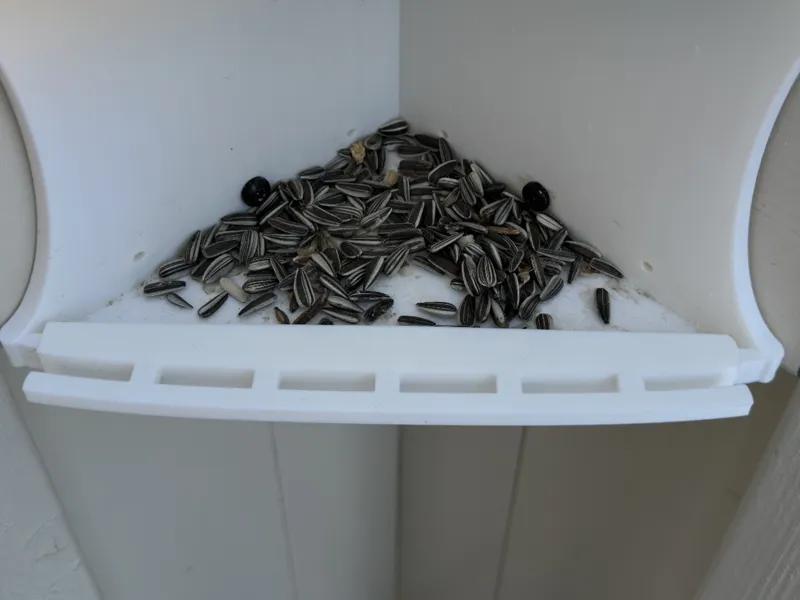 Attachable Ledge for Corner-mount bird feeder