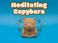 Meditating Capybara