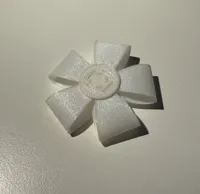 60mm Ribbon Compatible