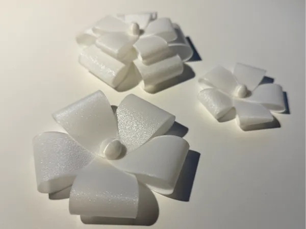 https://makerworld.bblmw.com/makerworld/model/US698ef072f82273/design/2024-10-20_35e0debed631b.png