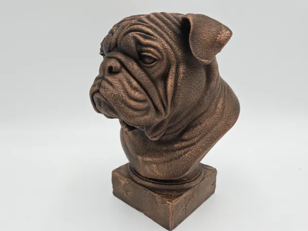 https://makerworld.bblmw.com/makerworld/model/US699059bd4b7abc/design/2025-05-08_9242c753029dd8.jpg
