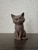 Fuzzy Version Painted - Clean Eyes & Nose