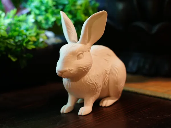 https://makerworld.bblmw.com/makerworld/model/US699c241dc87877/design/a967f150c6b3f4be.jpg