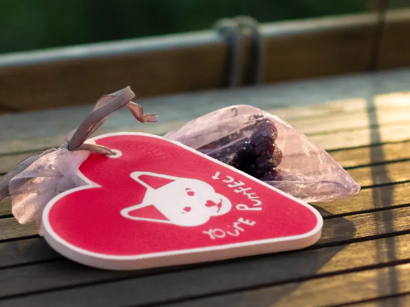 Cat Heart Gift Tag; "you're purrfect"