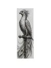 The Phoenix - 50x150mm