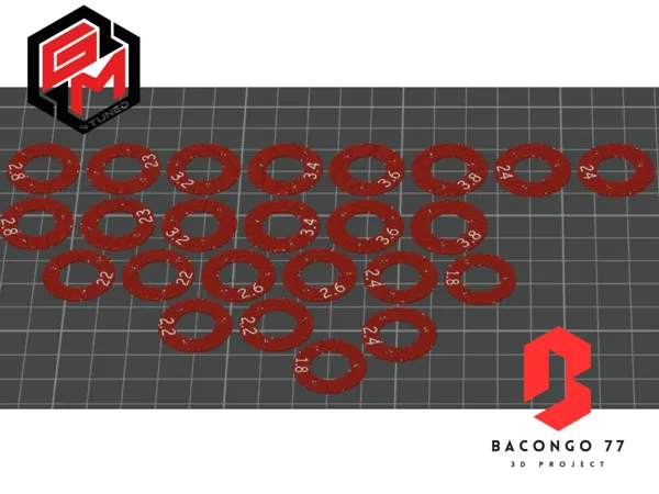 https://makerworld.bblmw.com/makerworld/model/US69ab9335fccd1f/design/2025-01-14_6718c6c8283ea.png