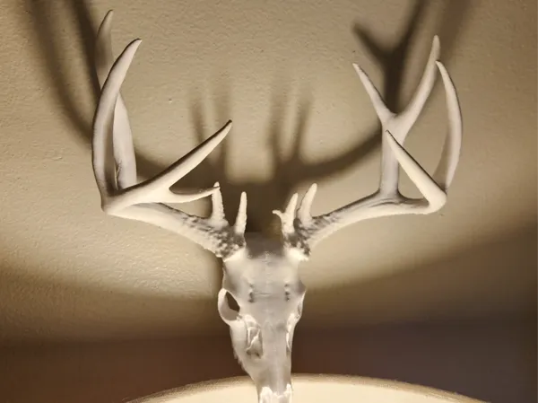https://makerworld.bblmw.com/makerworld/model/US69aecf4df7eda0/design/2025-02-16_e8319d4a609d.jpg