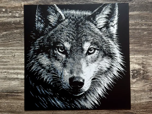https://makerworld.bblmw.com/makerworld/model/US69be36d30dc218/design/82fec483f1f980be.jpg
