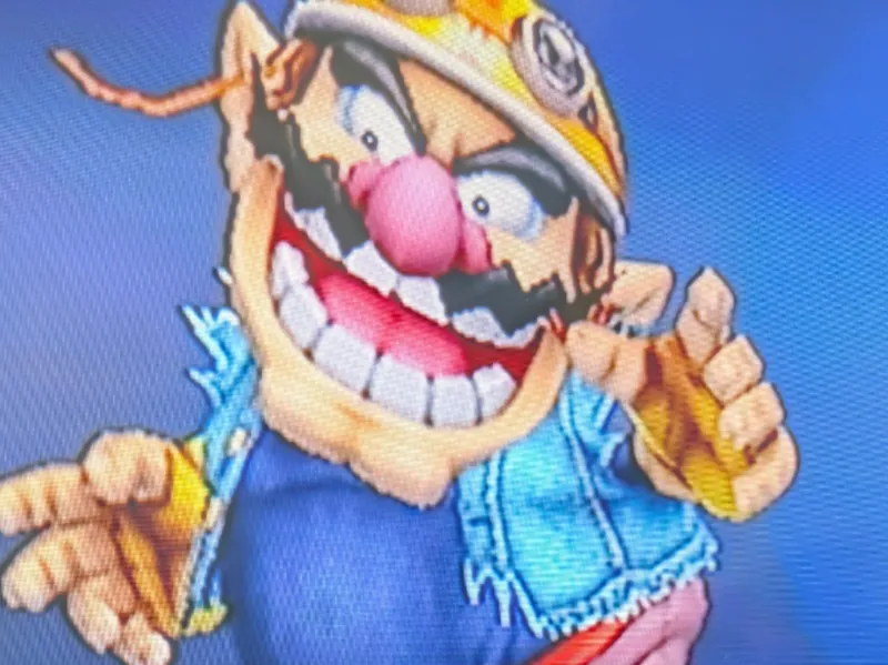Wario trophy from super smash bros brwal