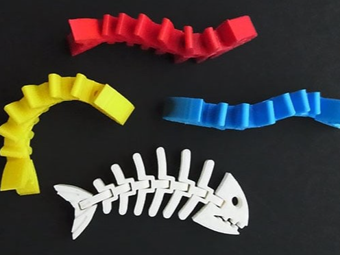 Fisch Skeleton