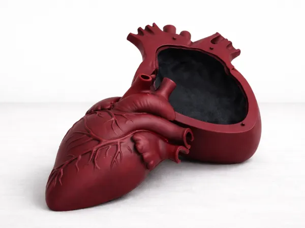 https://makerworld.bblmw.com/makerworld/model/US69c190dbbfd45c/design/0a349f72e8dbf290.png