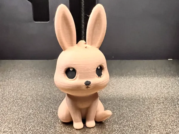 https://makerworld.bblmw.com/makerworld/model/US69c60e050daf06/design/2025-03-08_dee4598dc568f.jpeg