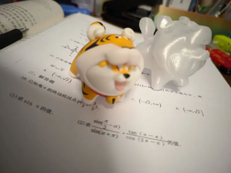 虎皮柴犬