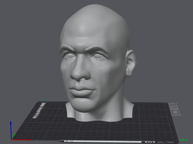 Michael Jordan's head