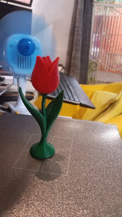 https://makerworld.bblmw.com/makerworld/model/US69d8f2c302e6bb/580962547/ratings/77ecf1cb428b9715473b7b8f8d8d2df1.jpeg