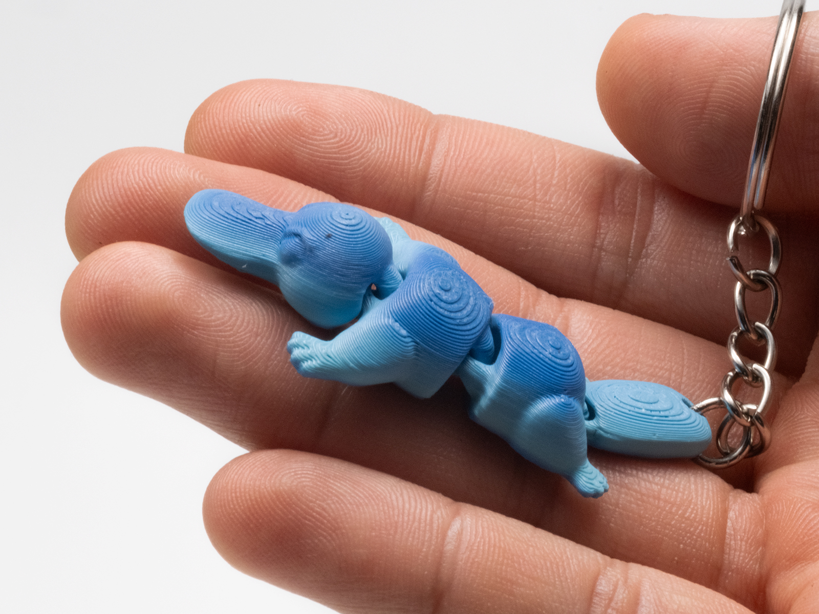 Miniatura 1 do modelo 3D Flexi  Platypus 