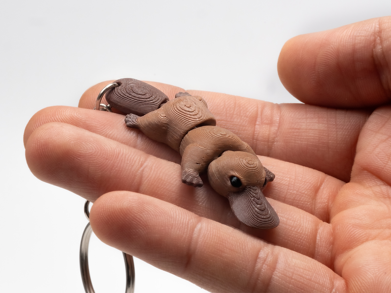 Miniatura 2 do modelo 3D Flexi  Platypus 