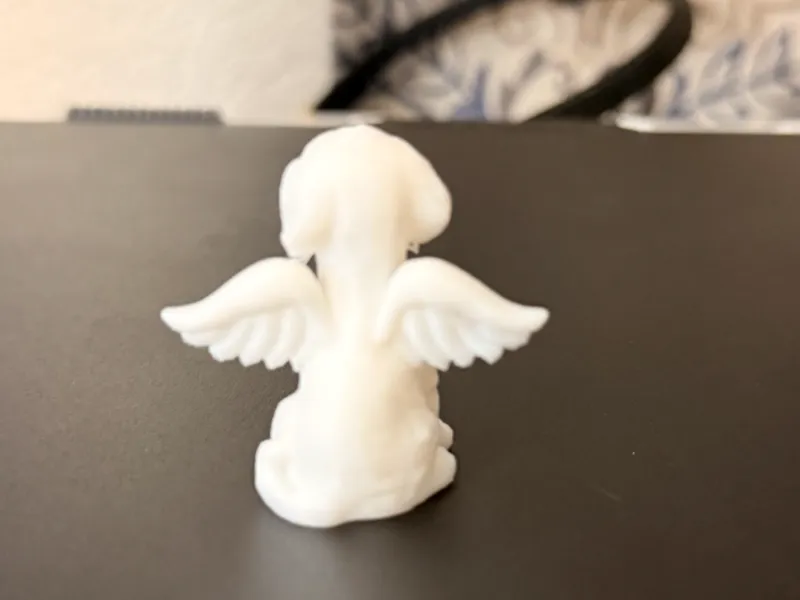 Angel Wings Add On