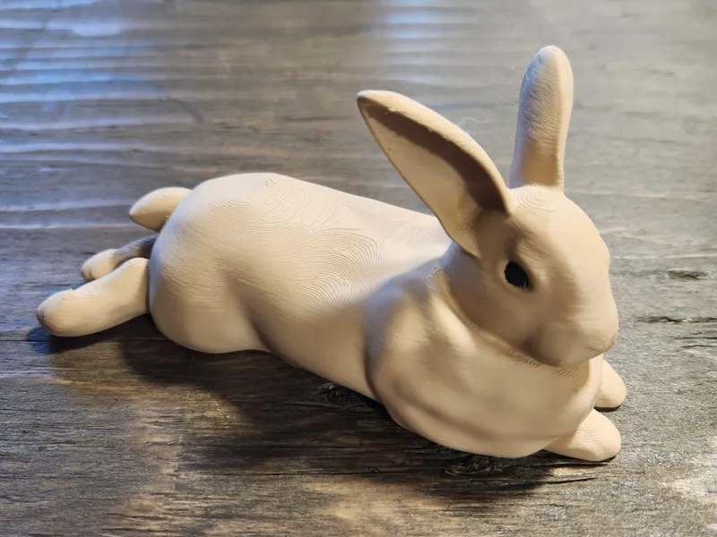 Flemish Giant Rabbit