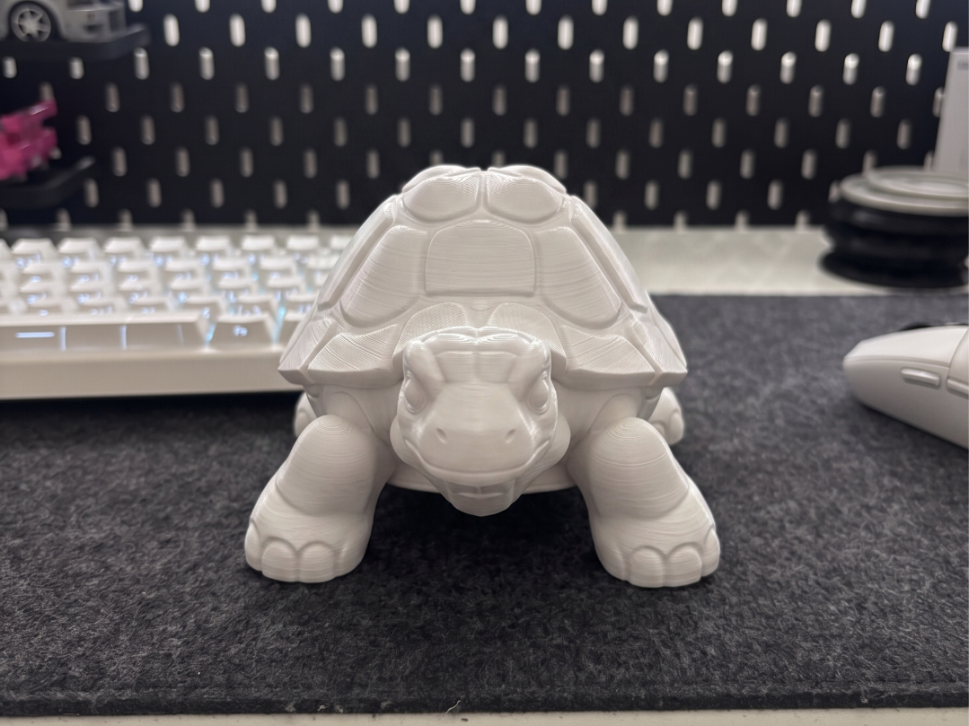 Majestic Giant Tortoise | Realistic Nature Decor