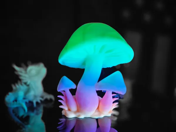 https://makerworld.bblmw.com/makerworld/model/US69f3e84df5a0e0/design/2025-07-27_0ff6e16c46657.jpg