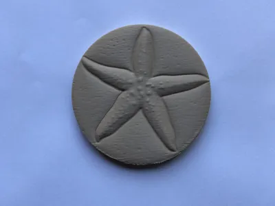 Starfish Coaster