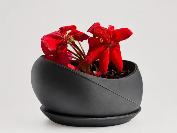 https://makerworld.bblmw.com/makerworld/model/US69fa3d64399912/design/7a348eb512b2635f.png