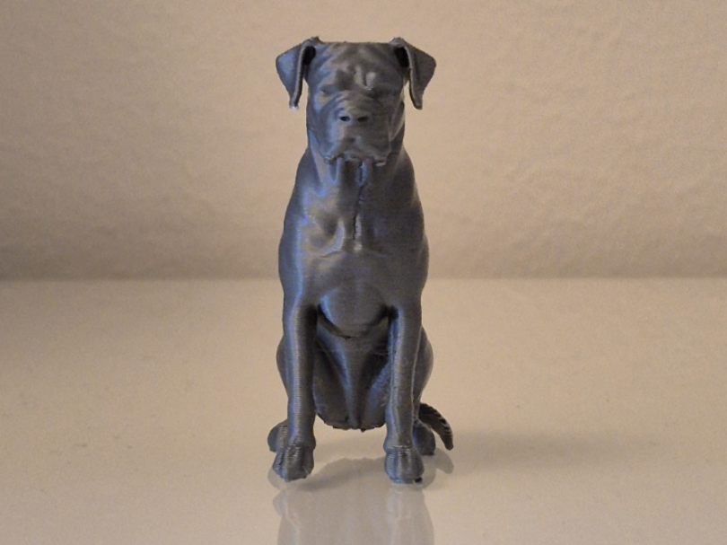 Cane Corso – 3D Printable Dog Statue