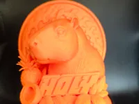 0.08mm layer, 2 walls, 15% infill