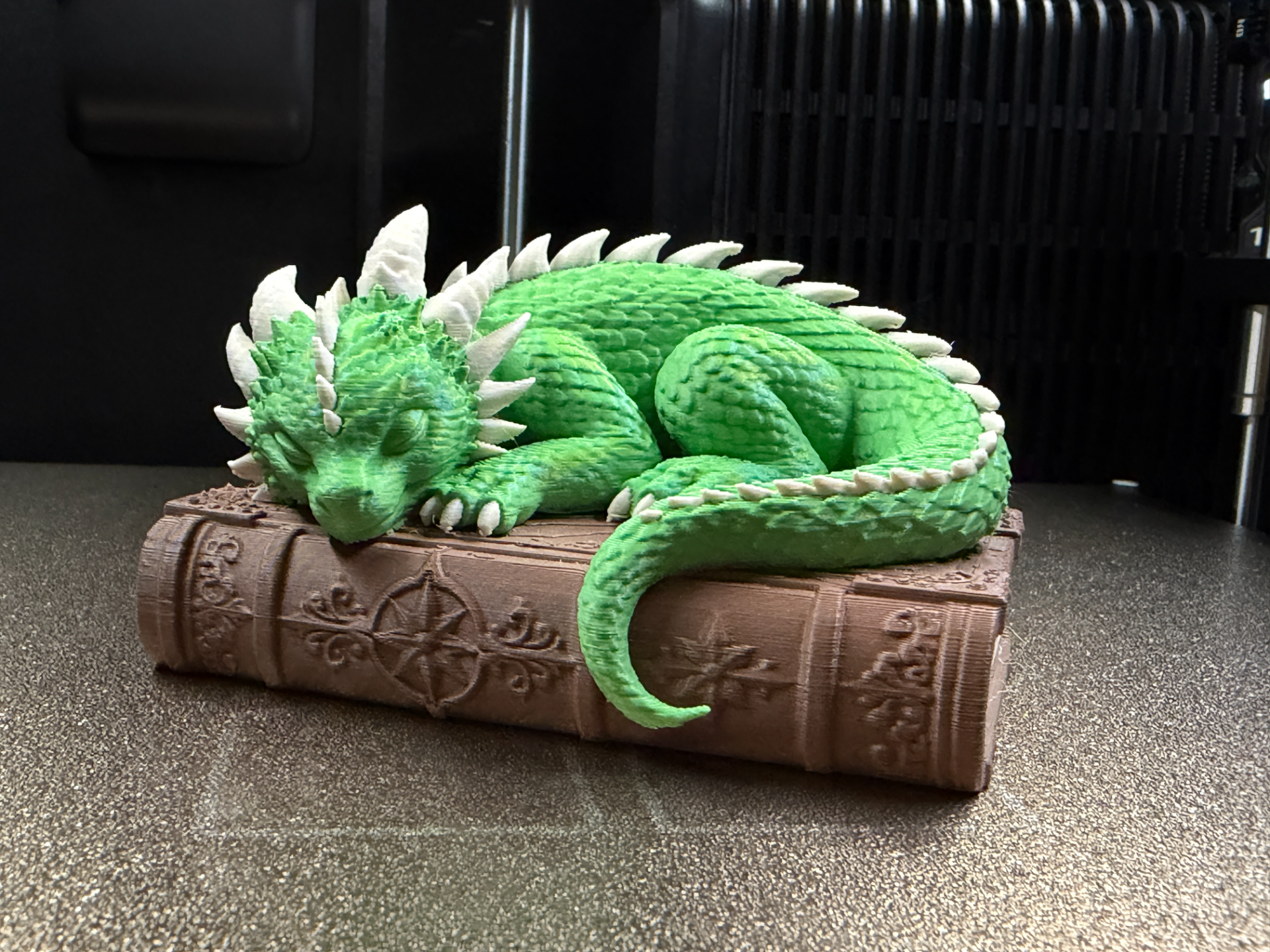 Sleeping Dragon on an Book - 1