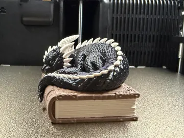 Adorno temático: Sleeping Dragon on an Book — vista de referencia 5